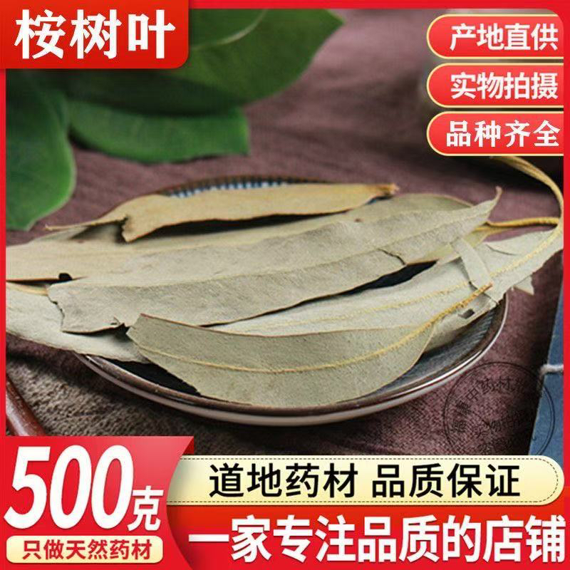 桉树叶 中药材 密袋鼠 除臭 大桉叶洗脸 洗澡 尤加利叶 500克包邮