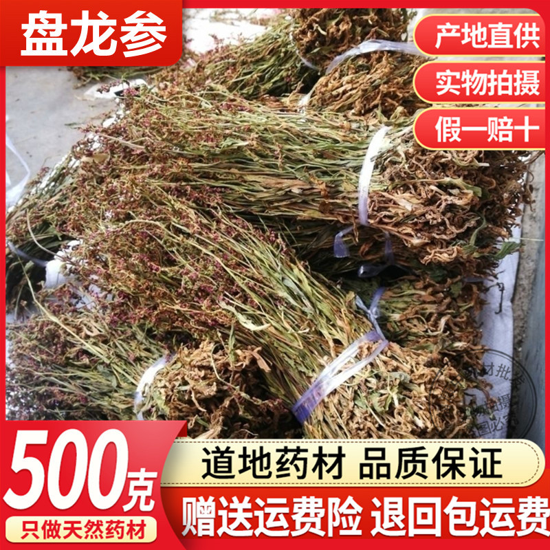 野生盘龙参中药材贵州盘龙参苗绶草龙 鲤鱼草 海珠草猪辽参500克
