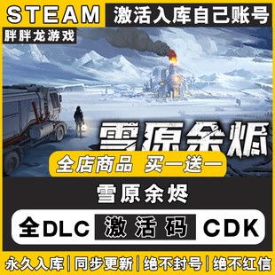 雪原余烬steam激活码CDKEY入库国区全DLC电脑游戏全球区包更新PC