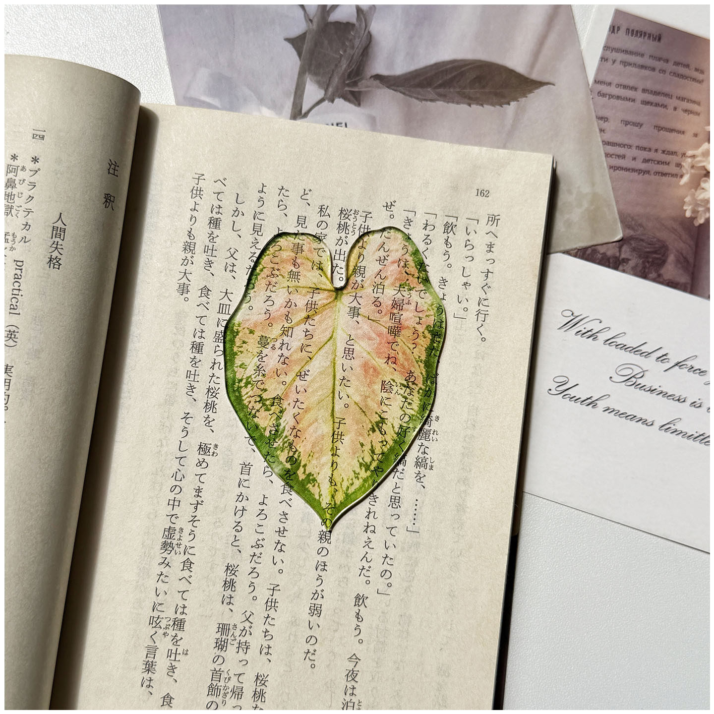 光拾小清新彩叶芋亚克力透光书签