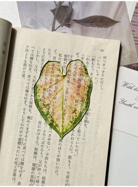 光拾小清新彩叶芋亚克力透光书签