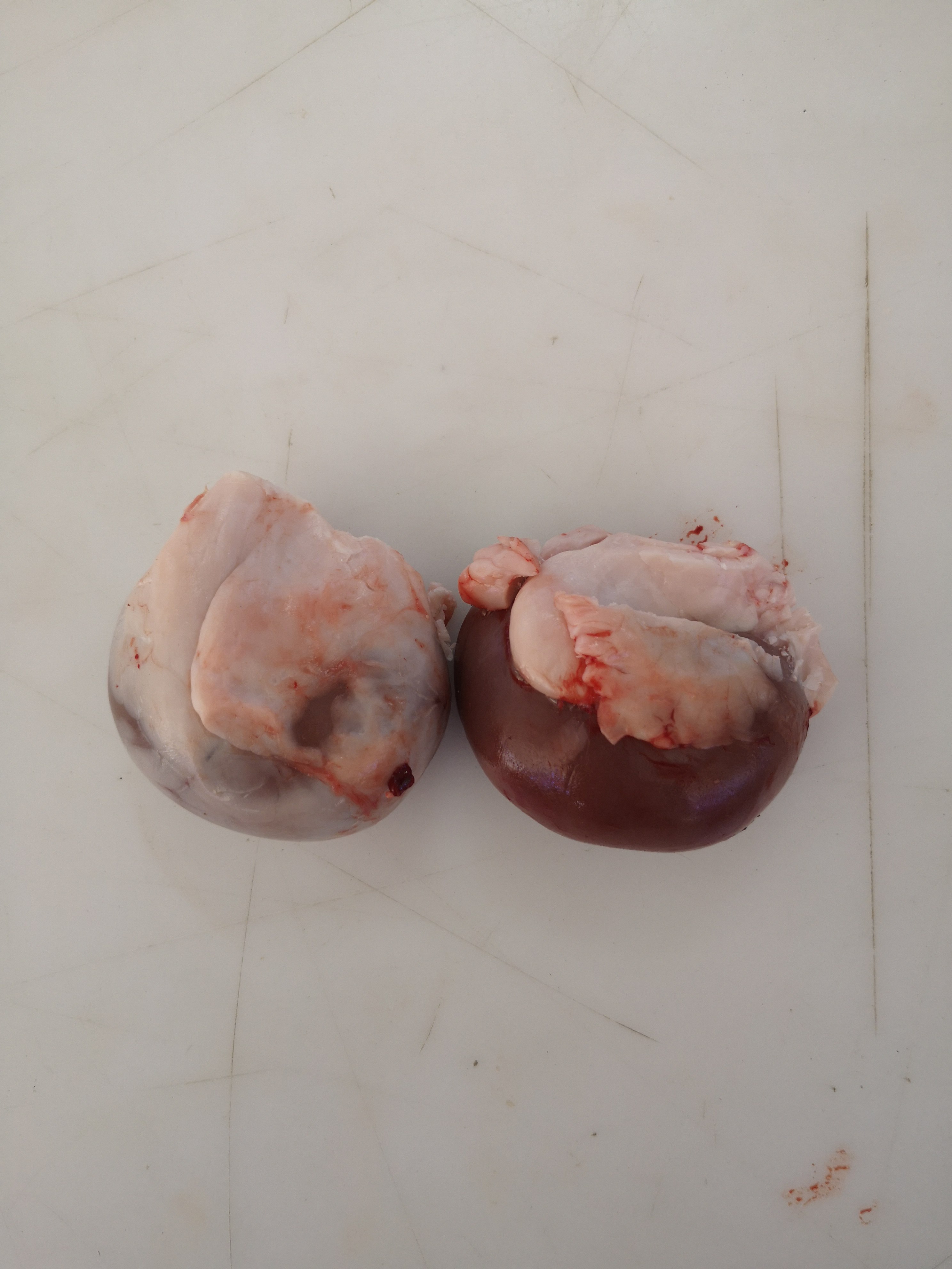 右玉羊腰子新鲜整个销售当天现取正宗原油羊肾羊宝烧烤食材羊腰