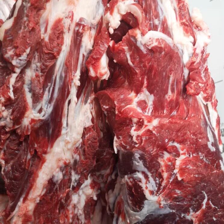 塞北右玉牛肉 二年小黄牛肉 玉洲峰好牛肉不分部位 5斤农家散养