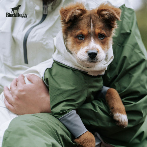 BlackDoggy狗狗四脚雨衣轻薄防水