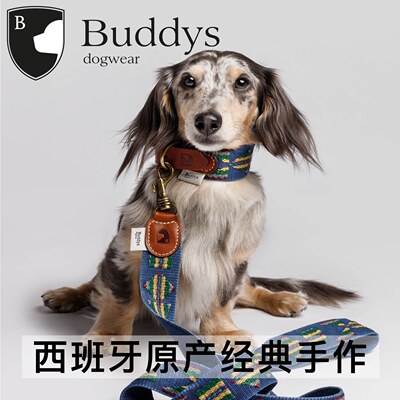 buddys西班牙意大利棉宠物项圈
