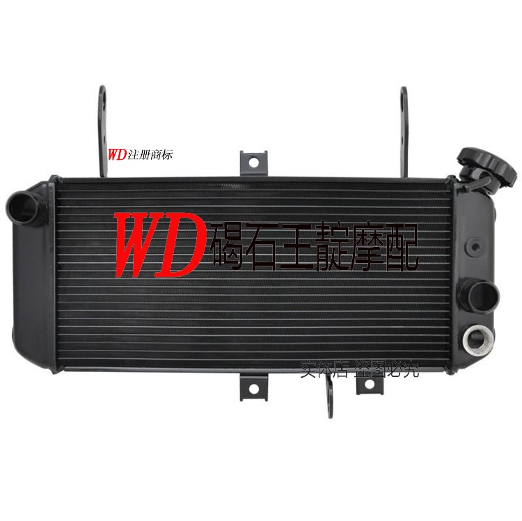 王靛摩配 SV650 05-06-07-08-09年水箱总成 水箱散热器 水冷器