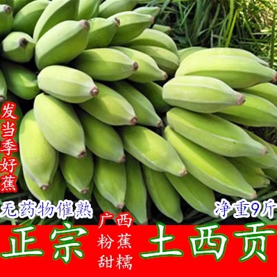 广西粉蕉新鲜水果西贡芭蕉甜糯