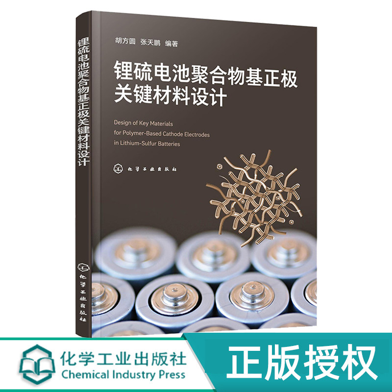 锂硫电池聚合物基正极材料设计图片