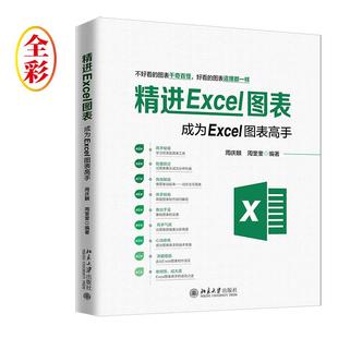 精进Excel图表:成为Excel图表高手 周庆麟 著,周奎奎 著 北京大学出版社