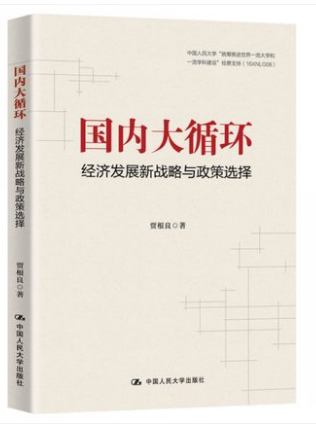 国内大循环 经济发展新战略与政策选择 贾根良著 中国人民大学出版社 9787300284224
