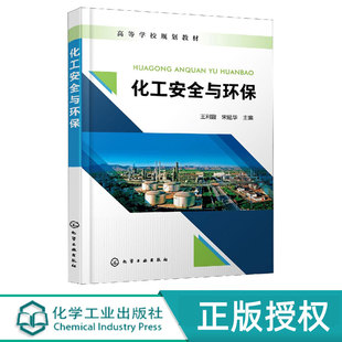 化学工业出版 化工安全与环保 9787122417282 宋延华 社 王利霞