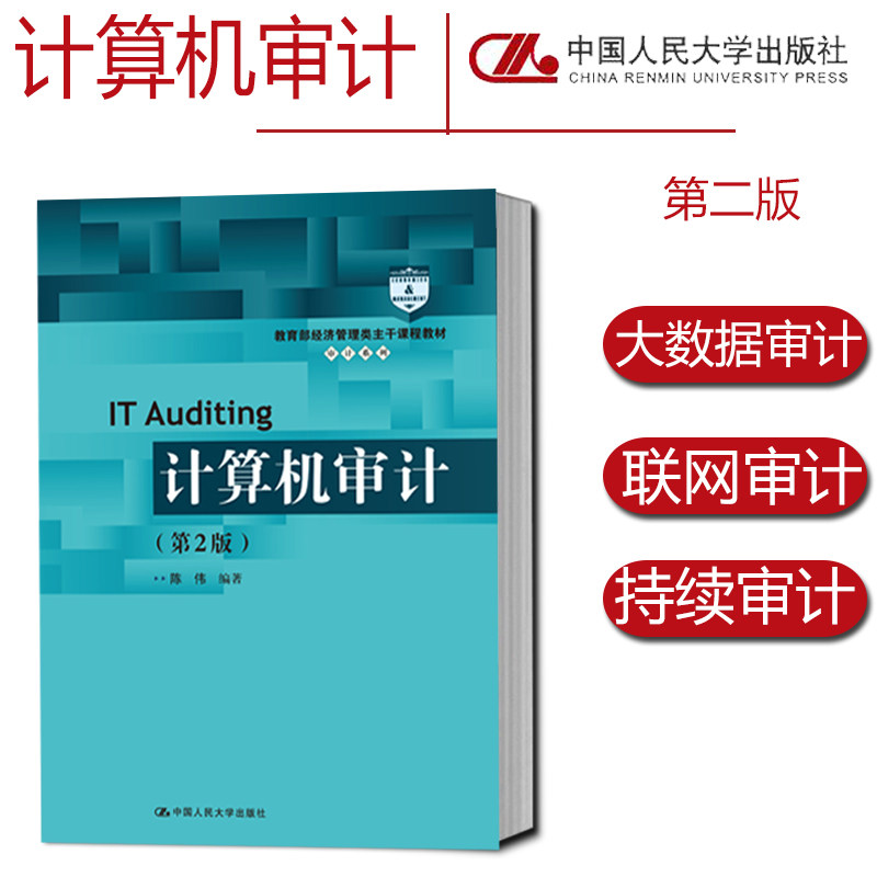计算机审计第2版 陈伟高 校审计会计财务管理等专业的教材审计从业人员的专业培训教材和业务学习资料9787300275017