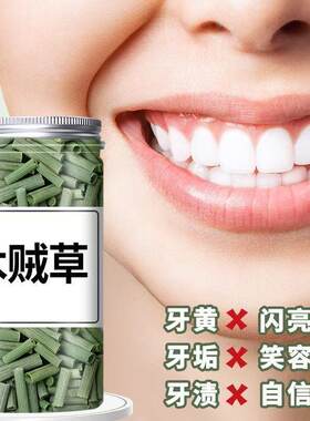 野生木贼草长节节草擦牙磨牙