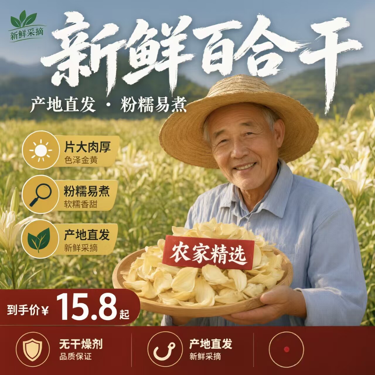 新货百合干微黄无硫拒绝熏染药膳养生汤料天然干货50g500g批发装
