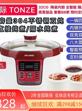 天际智能电炖锅1-4-5-6人不锈钢隔水炖全自动煲汤BB粥燕窝盅3.2L