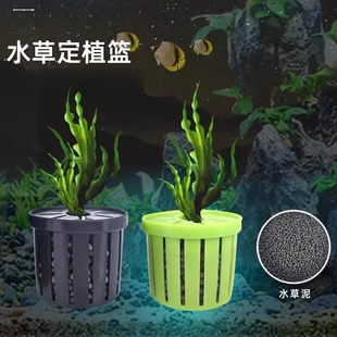 鱼缸水草定植篮造景装 饰小号迷你沉底带盖水培定值篮固定器养草杯
