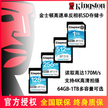金士顿v60sd卡1雷克沙存储卡28g相机内存卡4k