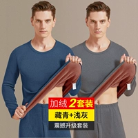 [Трехцветные бархатные волосы] темно-синий + светло-серый.