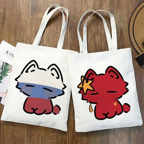 ch五常国拟瓷爹美俄英法周边帆布包定制大容量学生装书单肩手提袋