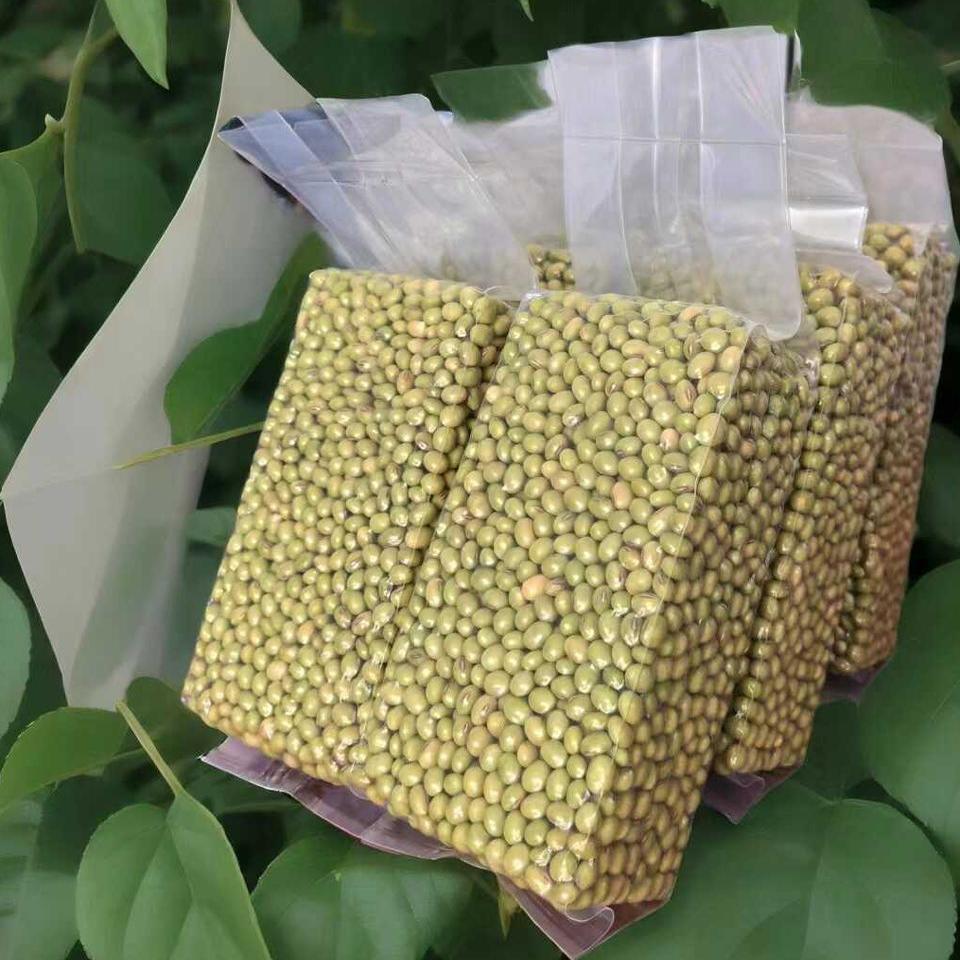 巴马特产青皮黄豆老品种绿皮黄豆