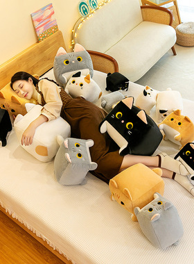 跨境raise a floppa方块猫公仔娃娃毛绒玩具小猫玩偶剪刀机兑换枕