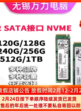 M.2固态NVME协议128G 256G 512G 1T笔记本台式固态硬盘三星970980