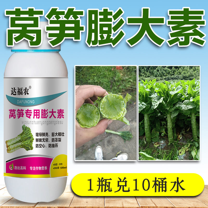莴笋膨大素莴苣红笋青笋三青专用快速生长粗壮增产剂叶面肥料