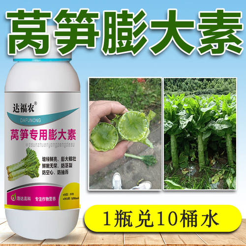 莴笋膨大素莴苣红笋青笋三青专用快速生长粗壮增产剂叶面肥料