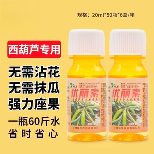 西葫芦专用免点花坐果瓠瓜免点花座果白瓜西葫芦全株喷雾授粉肥料