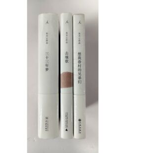 朱天心作品（全三册）：三十三年梦+击壤歌+想我眷村的兄弟们  理想国