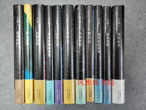 王小波小说作品集全11册黑铁时代