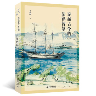 法律智慧 区域 穿越古今 北京大学 马建红 包邮