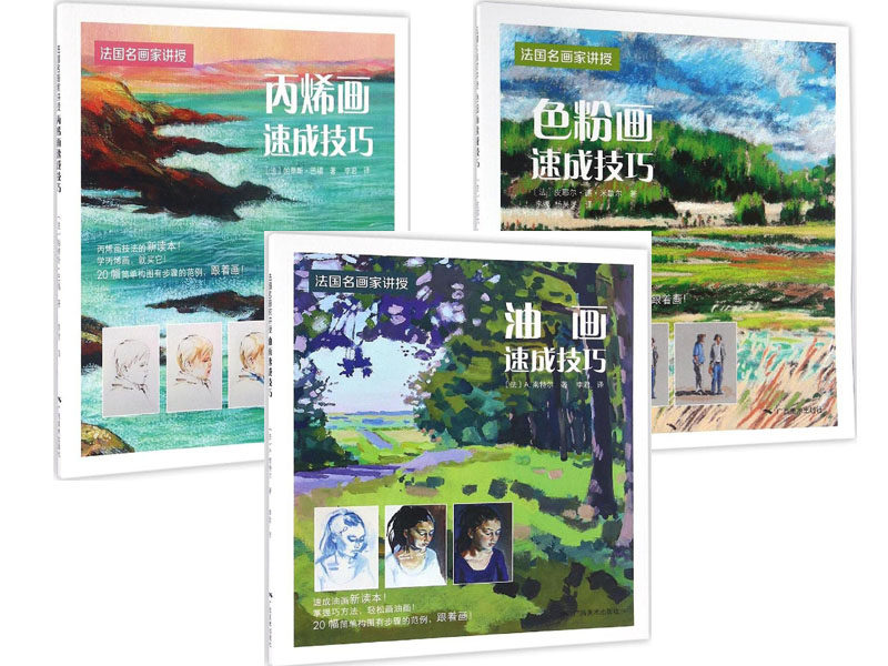 广西美术 法国名画家讲授（全三册）：丙烯画速成技巧+色粉画速成技巧+油画速成技巧 帕蒂斯·巴福 A.南特尔 学画油画棒画