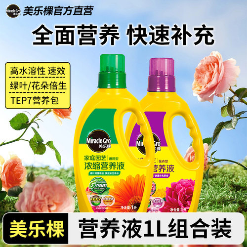 美乐棵天竺葵玫瑰月季绣球营养液