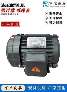 液压电机1HP VP20+0.75KW 1.5KW液压泵总成内轴电机液压站配件