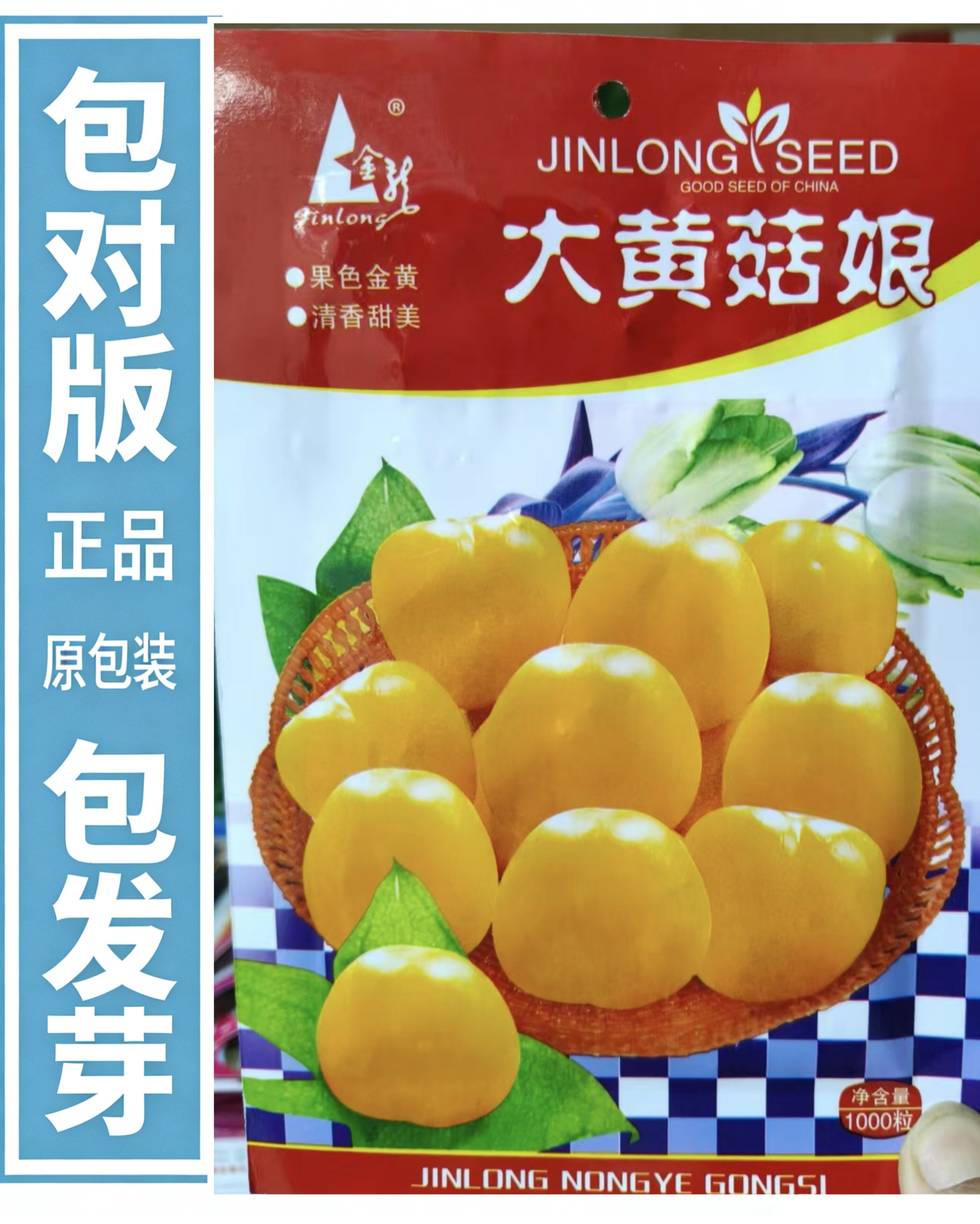 【大黄菇娘果种子】金龙正宗东北蔬菜种子/种苗