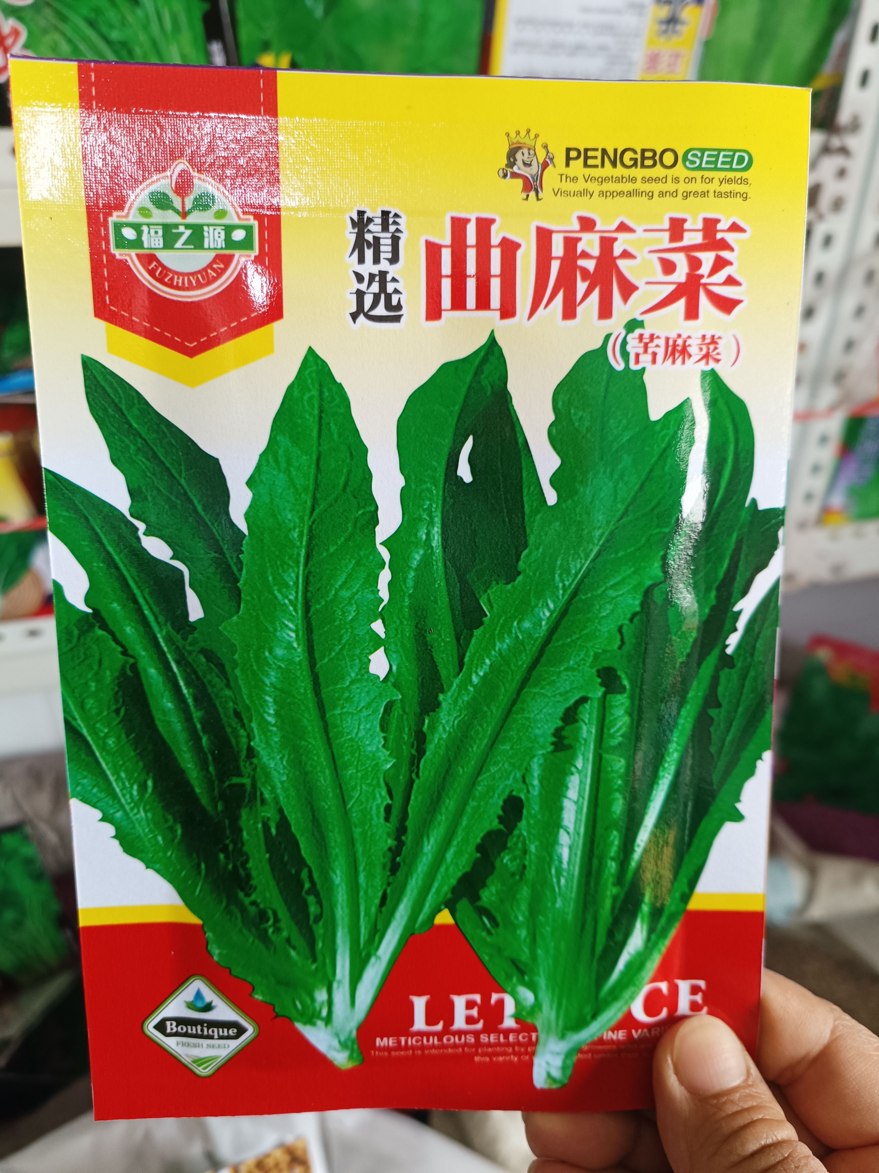 曲麻菜种子包装随机野生苦麻菜籽山野菜种籽农家老品种