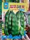 超早38天架油豆油豆角种子