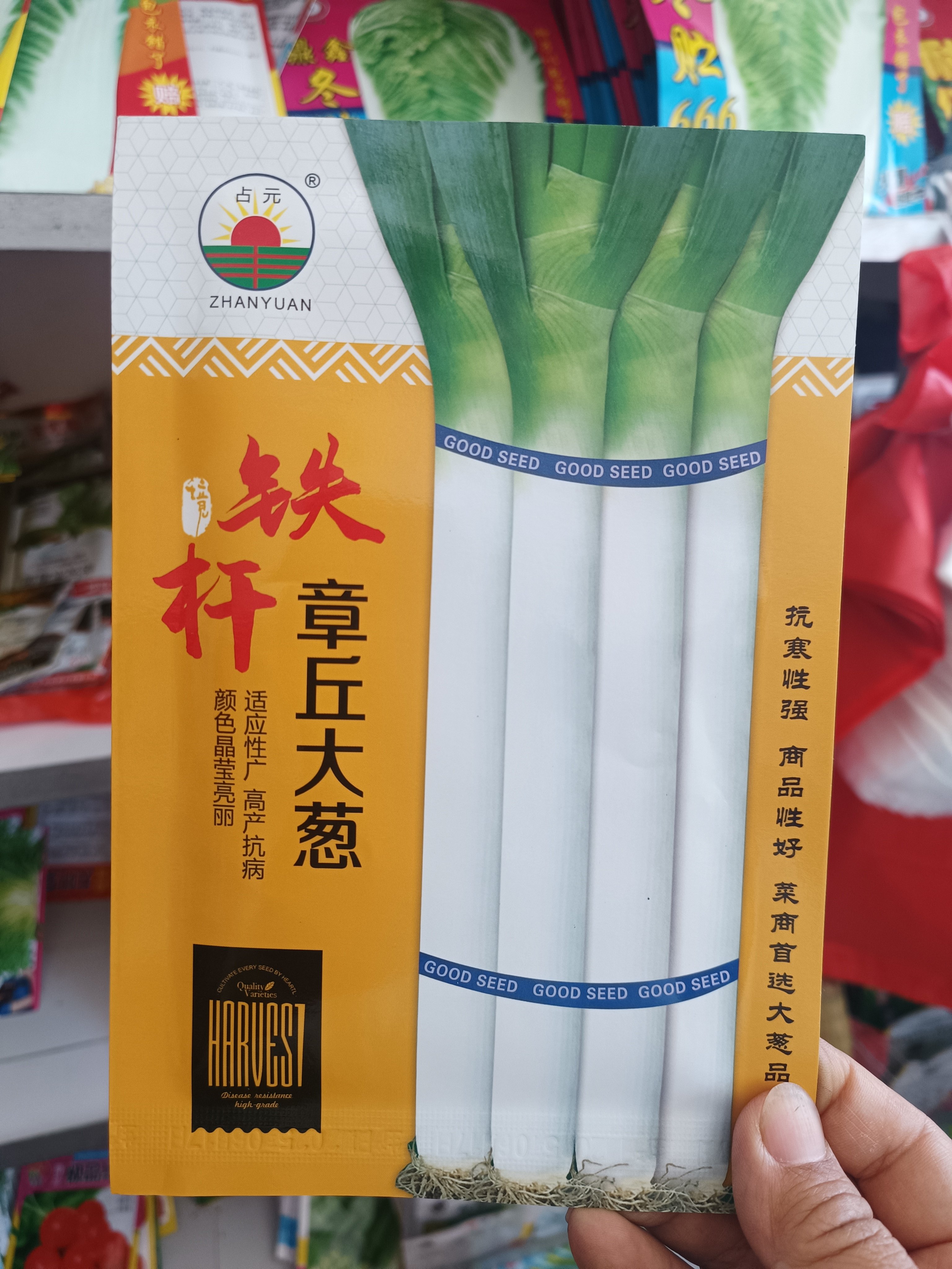铁杆章丘大葱种子三系杂交占元耐蔬菜种子/种苗