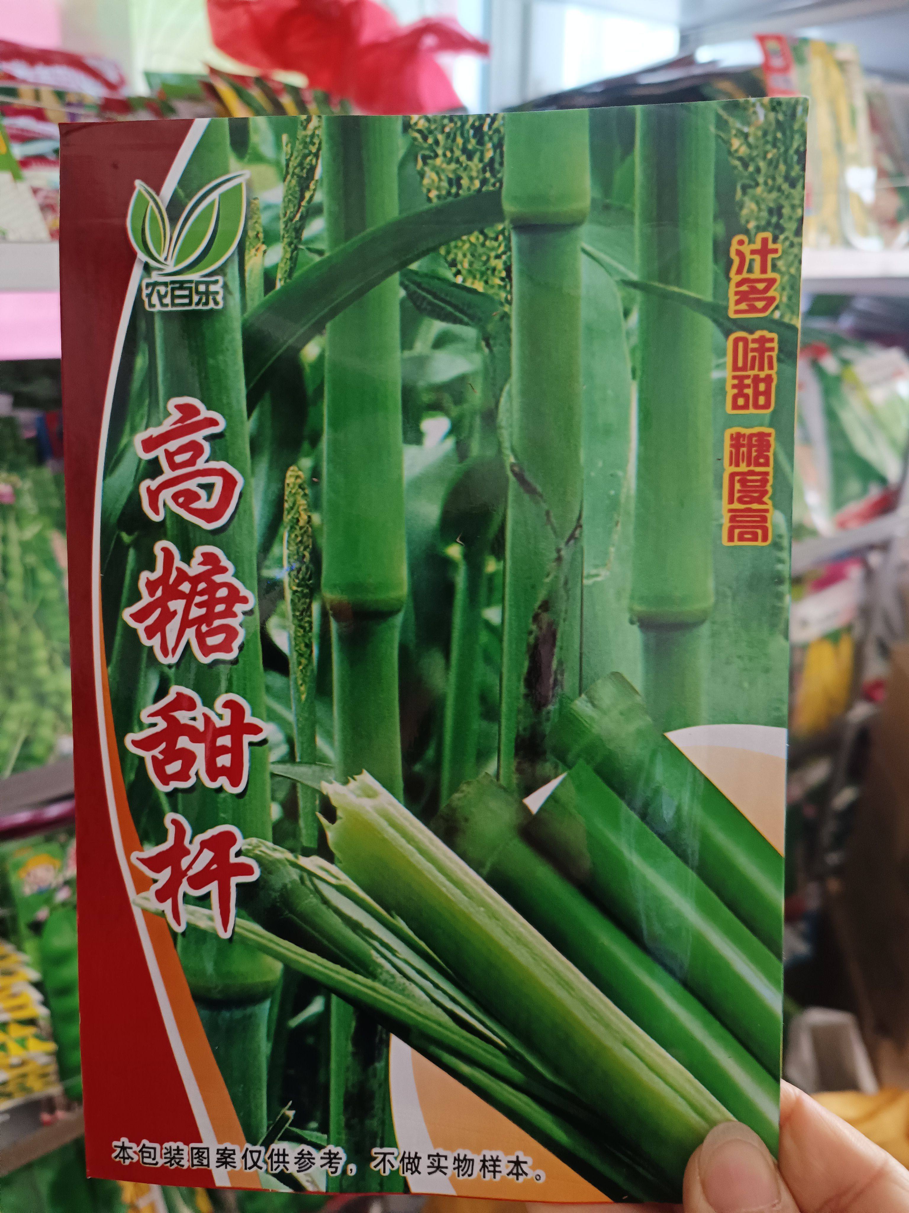 高糖甜杆种子甜高粱芦栗甜黍秸糖高粱种子脆甜多汁四季播春季