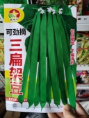 可劲摘三扁豆角种子 随机发芸豆早熟三扁四扁无筋无柴 包装
