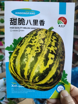 甜脆八里香 香瓜种子大全