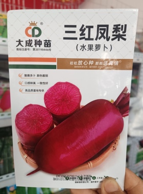 三红凤梨水果萝卜种子紫皮紫肉紫色红心脆甜沙窝萝卜