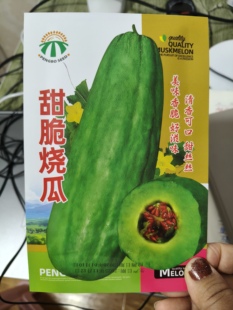 【甜脆烧瓜种子】甜瓜种籽四季高产牛角青皮红壤酥甜瓜羊角瓜