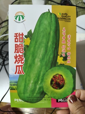 【甜脆烧瓜种子】甜瓜种籽四季牛角青皮红壤酥甜瓜羊角瓜