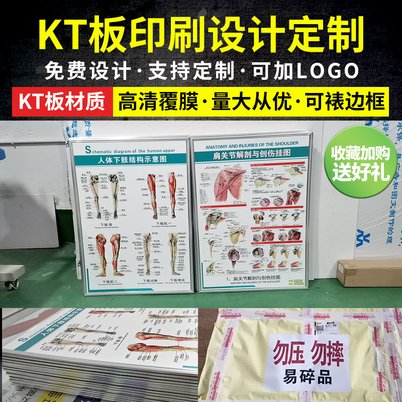 KT版定制设计展板写真定制打印做KT板宣传海报装饰画广告医学挂图