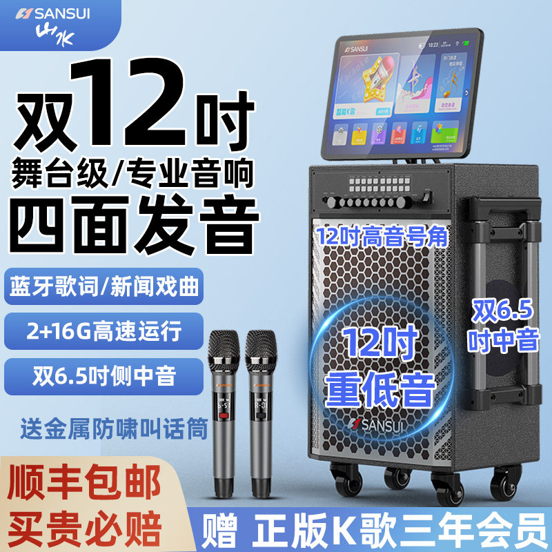 山水音响TD128家庭KTV音响广场舞带显示屏卡拉OK户外k歌移动音箱