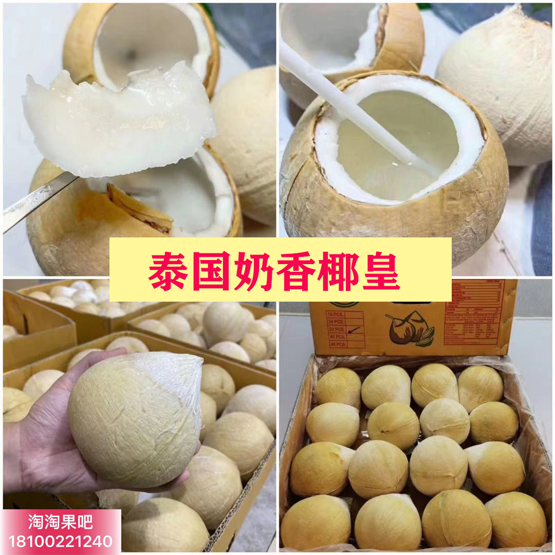 椰王水果,椰王椰子(第4页)_大山谷图库