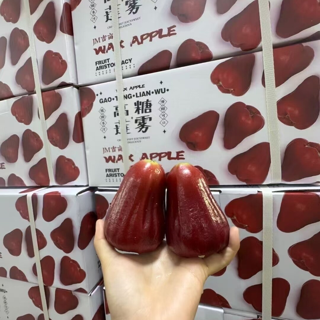 当季海南吉姆高糖莲雾蜜风铃莲雾原箱3斤装9-12个果清甜爆汁顺丰