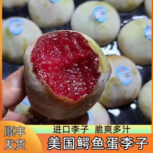 美国鳄鱼蛋红肉恐龙蛋进口李子